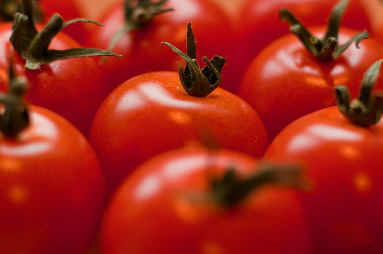 In de Moestuin van Willaert: Tomaten kweken