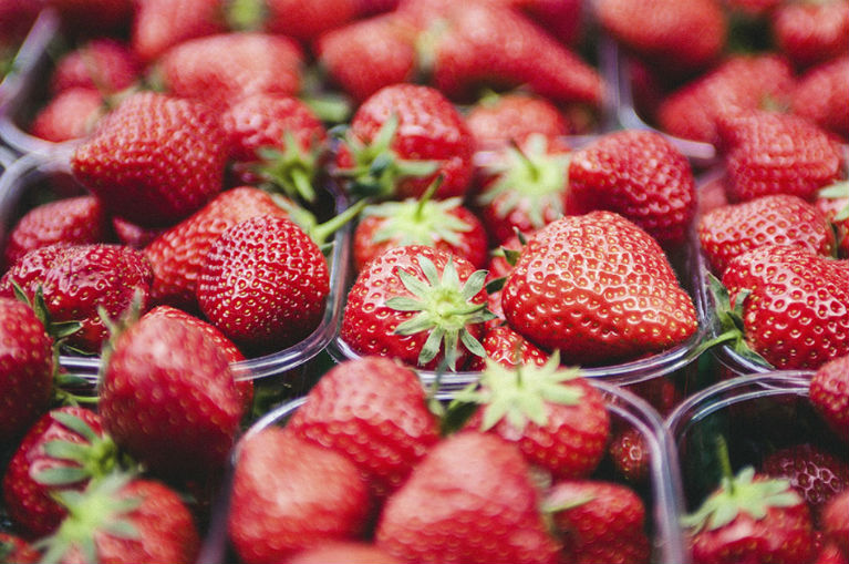 Dans le jardin potager de Willaert: récolter des fraises avec succès